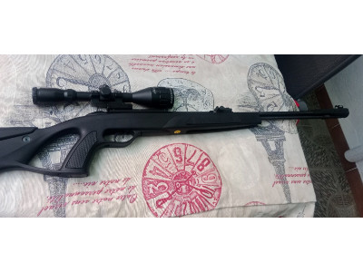 Gamo CFR Igt Whisper