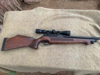 BSA Hotner 5.5