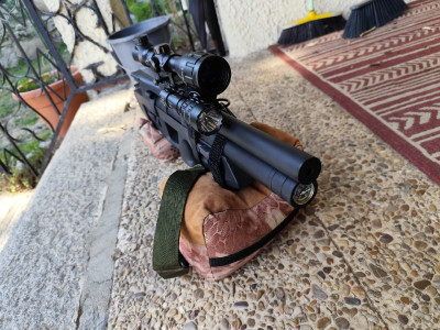 Kalibrgun Cricket Standart PLB