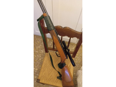 Krico calibre 22