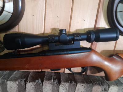 carabina calibre 22 remington