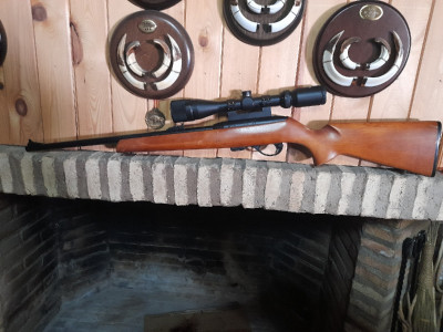 Semiautomática calibre 22 remington