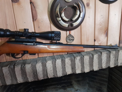 carabina calibre 22 remington