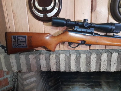 carabina calibre 22 remington