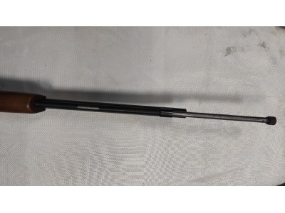 CARABINA CL 22 L OR LR MODEL 190