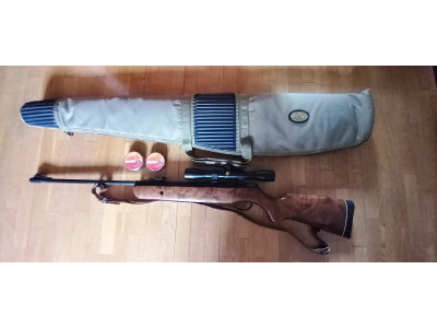 carabina de aire comprimido gamo hunter 440 wt