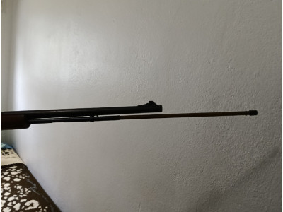 Carabina de calibre  22