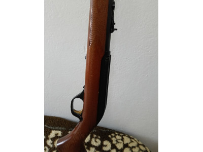 Carabina de calibre  22