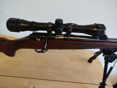 Zastava 