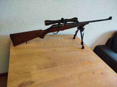 Zastava 
