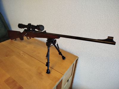 Zastava