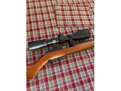 Carabina del 22 con mira Nikko Stirling