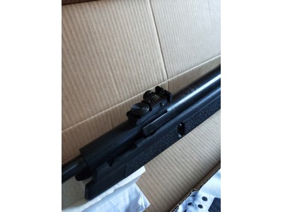 Carabina Gamo Black 1000