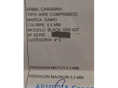 Carabina Gamo Black 1000 IGT