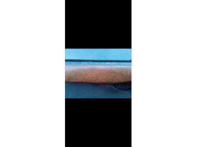 Gamo 400 calibre 5'5