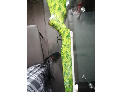 Gamo 4.5