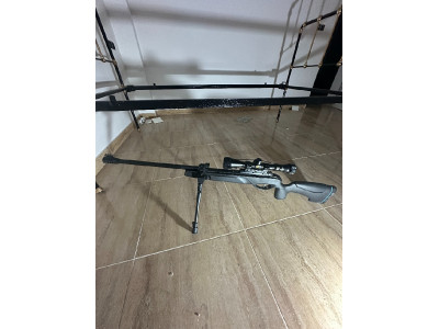 Gamo HPA Storm IGT
