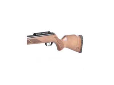 Carabina Gamo Hunter Maxxim IGT + Visor 4X32WR 4´5 mm