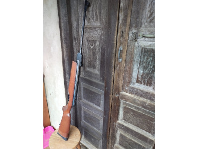 carabina Gamo Magnum