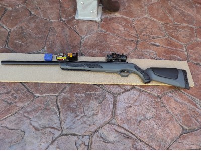 Gamo Viper Express