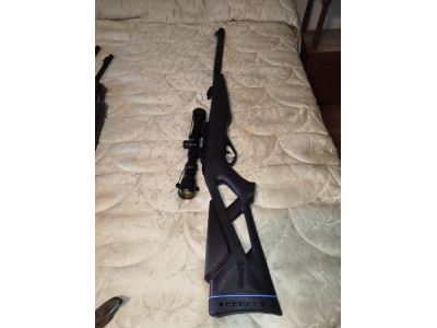 Gamo Whipper