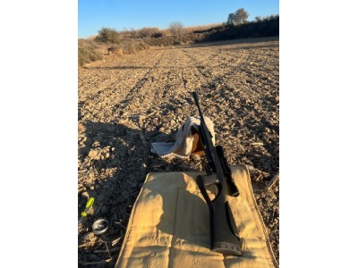 Gamo Whisper IGT 5.5