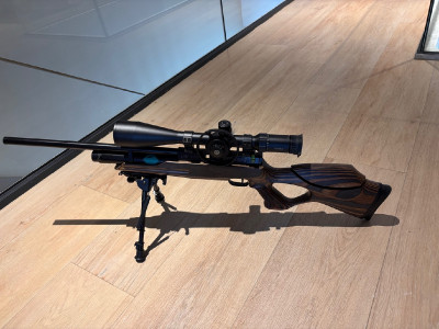 PCP 24 J Weihrauch HW100T