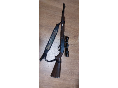 Carabina Remington 22LR