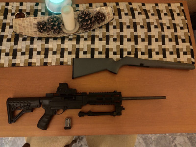 Remington 597