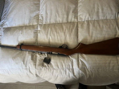 Carabina Ruger 10/22  22LR