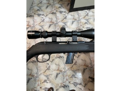 Carabina Savage 22LR