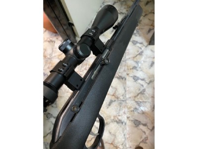 Carabina de aire comprimido BSA PCP Defiant Black Pepper, 16 Julios de  potencia, 251 m/s, calibre 4,5 mm, con carril Picatinny, 4001-BPIB Baratas,  Precios y Ofertas