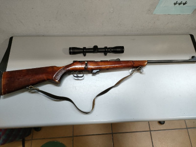 Toz calibre 22