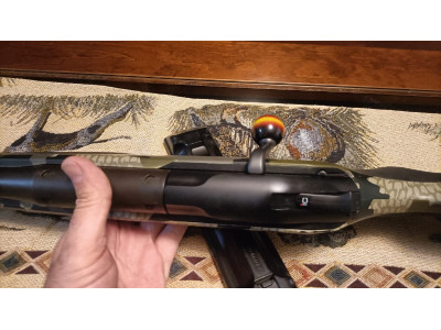 Blaser R8