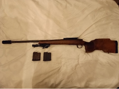 CZ 557 varmint 308win