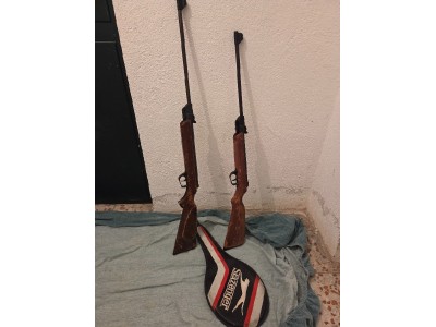 Dos escopetas de aire comprimido Gamo