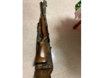 Escopeta de balines Gamo CF 20 con mira