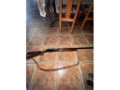 Benelli 2012