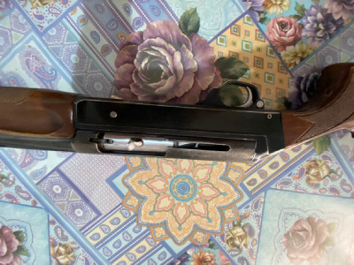 Benelli 2012