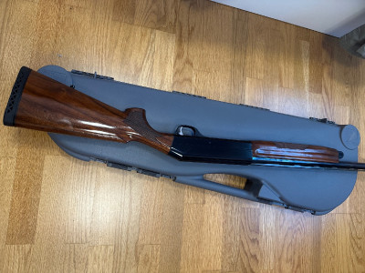 Benelli centro 