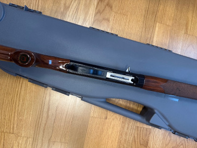 Benelli centro 