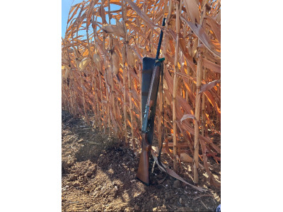 Escopeta Benelli Superligera