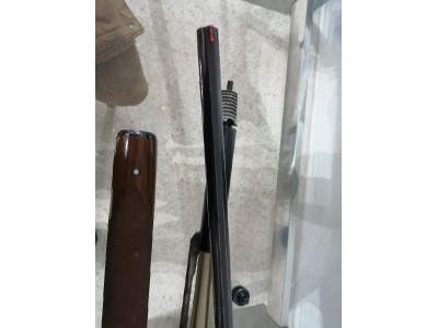Beretta 302