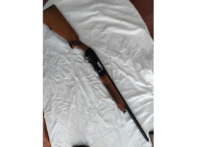 Beretta A301