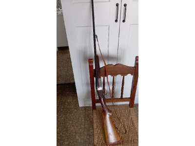 Gorosable calibre 41 Magnum