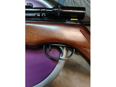 Gamo Magnum 2000