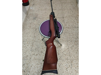 Gamo Magnum 2000