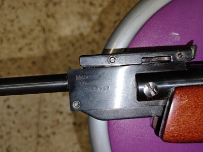 Gamo Magnum 2000