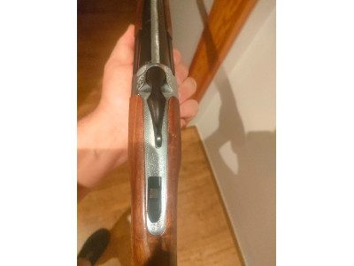 Benelli