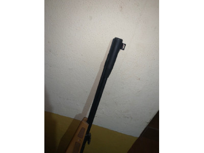 Gamo 